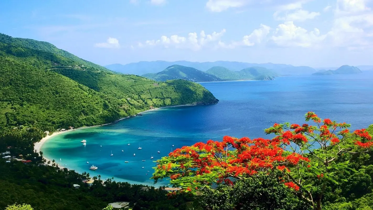 高效高性能高质量